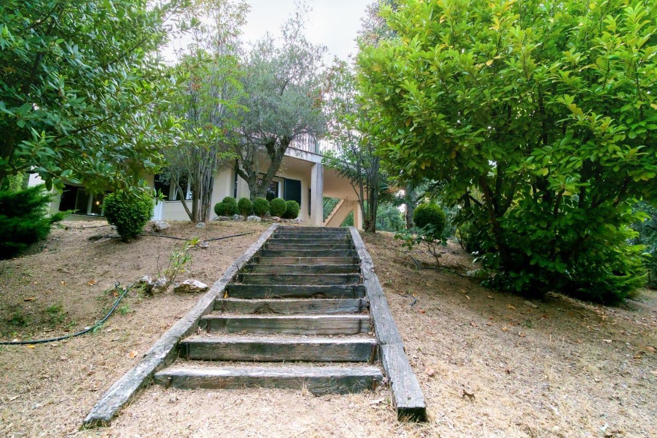 Jaza Paraiso セルセディリャ エクステリア 写真